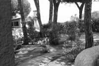 A Small Part of Me: Finding Home and Belonging