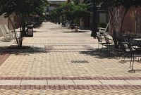 Visit Aiken, SC: Top Things to Do, Where to Stay, and Local Tips