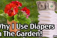 Why I Put Disposable Diapers in the Garden (and How They Help)