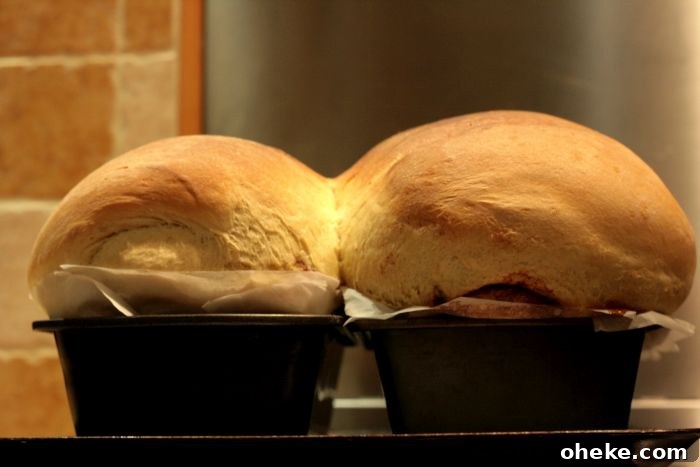 Brioche in Tins