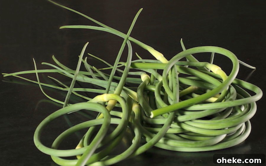 Piles of fresh picked garden scapes