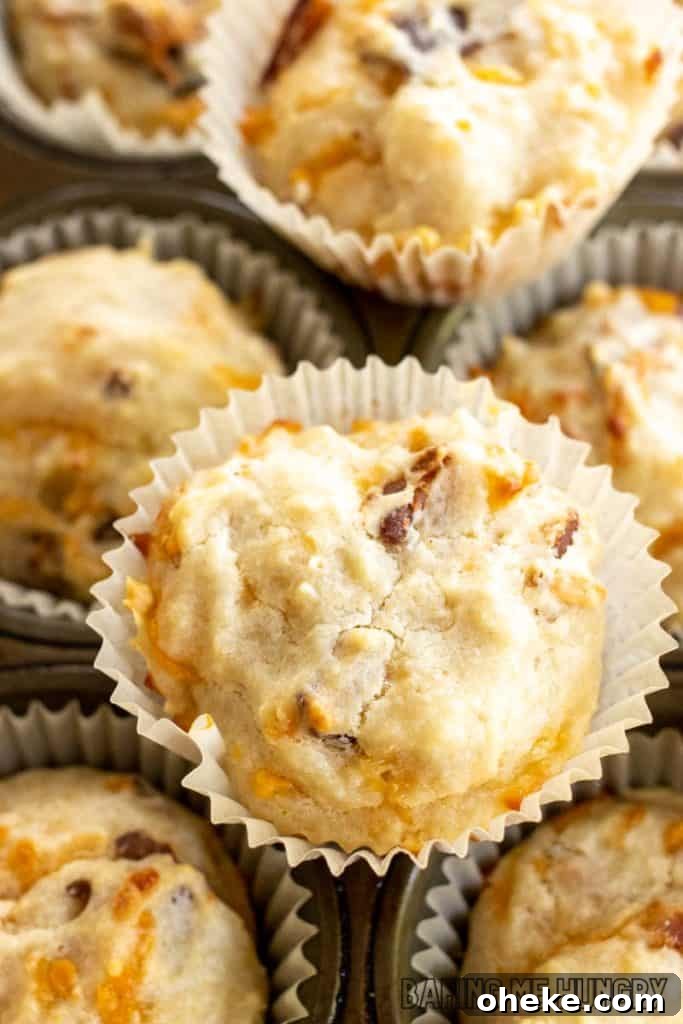 Savory Cheese & Bacon Breakfast Muffins That Impress 12 cheese and bacon muffins resting on muffin tin
