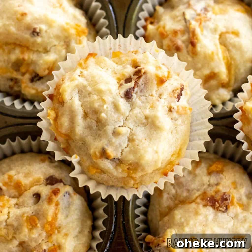 Savory Cheese & Bacon Breakfast Muffins That Impress 3 cheese and bacon muffins from overhead on muffin tin close up