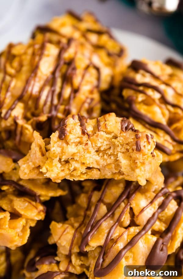 No-Bake Peanut Butter Cookies: Quick, Chewy Recipe 4 chocolate peanut butter no bake cookies