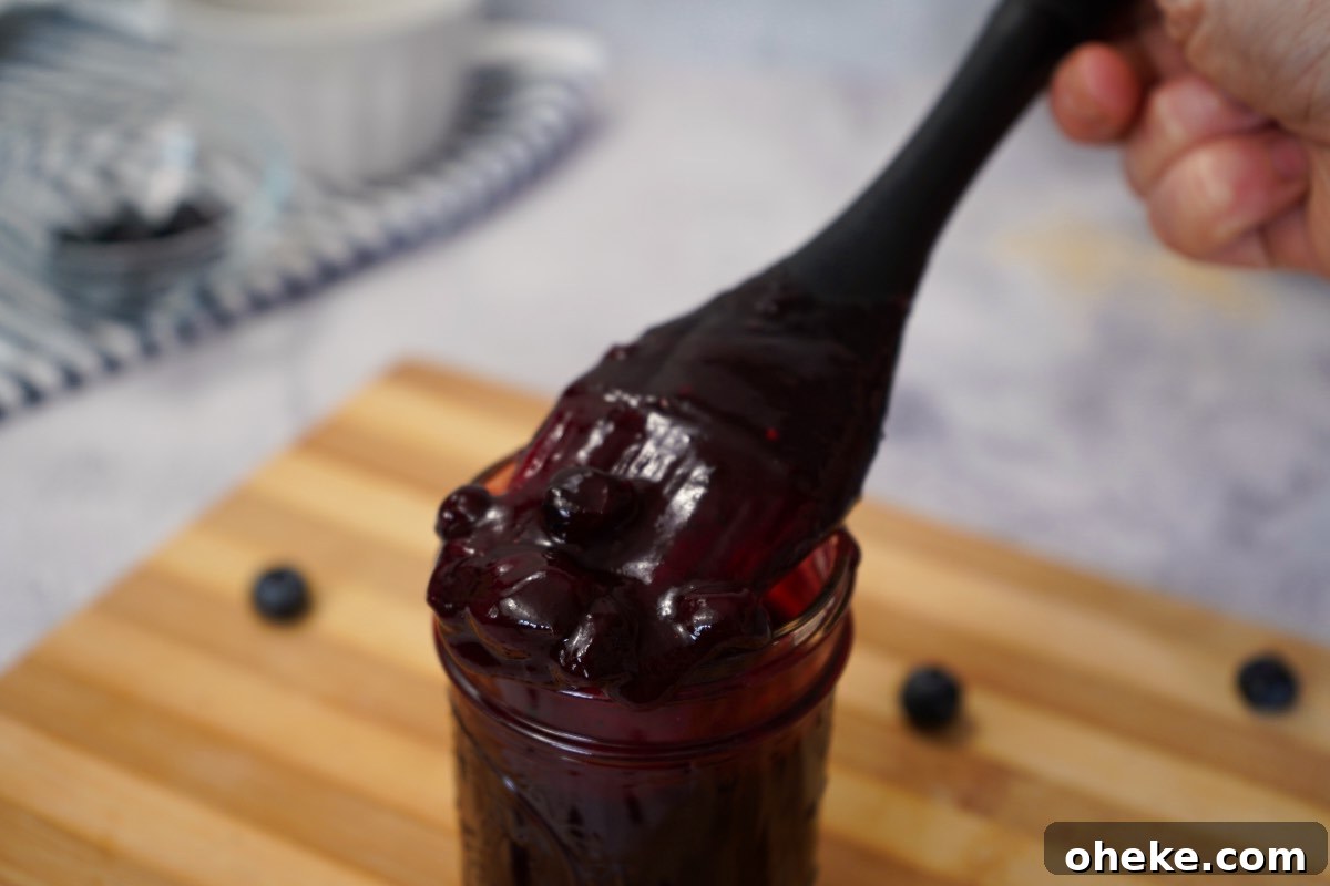 Tangy Blueberry BBQ Sauce Recipe for Grilling & Glazing 7 Homemade bbq sauce with blueberries on brush