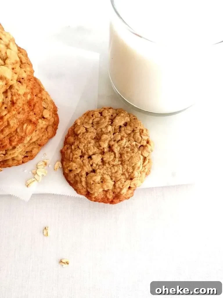 oatmeal cookies close up of one cookie