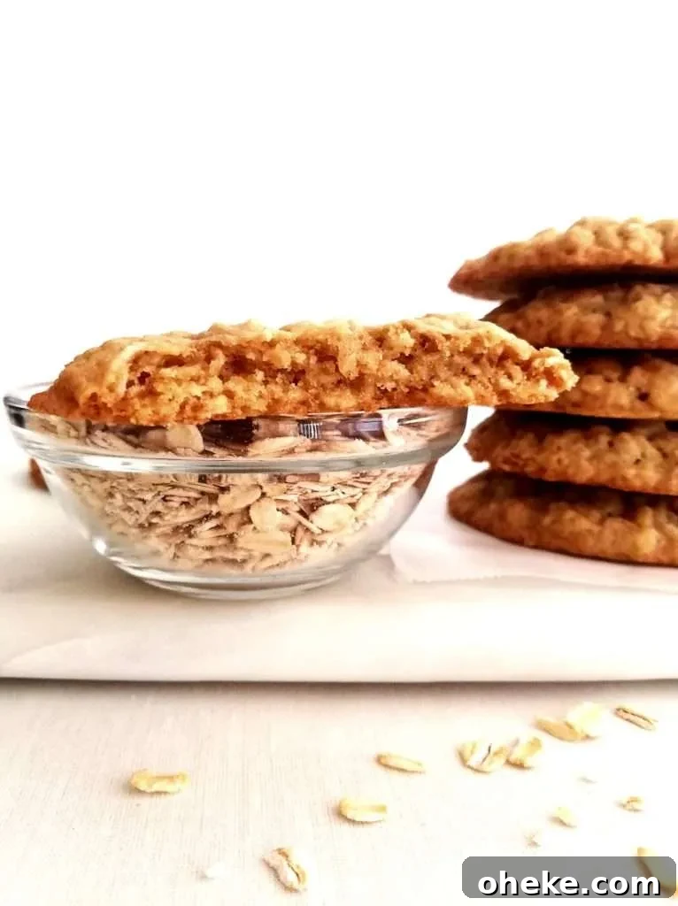 oatmeal cookie cut in half head on view