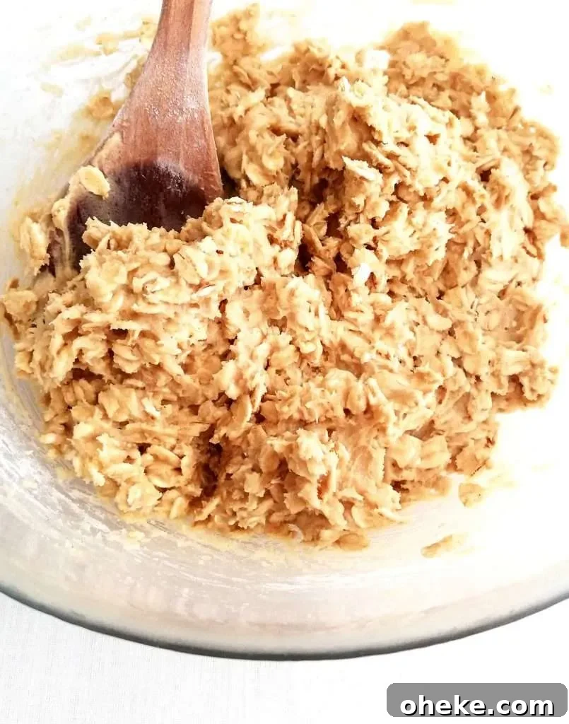oatmeal cookie dough in bowl close up