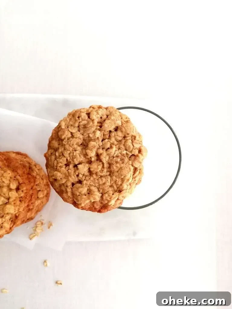 oatmeal cookie balanced on glass of milk overhead image
