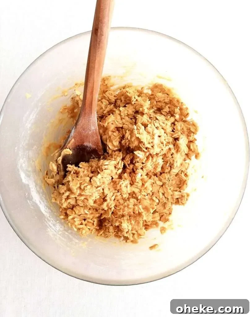 oatmeal cookie dough in bowl overhead image