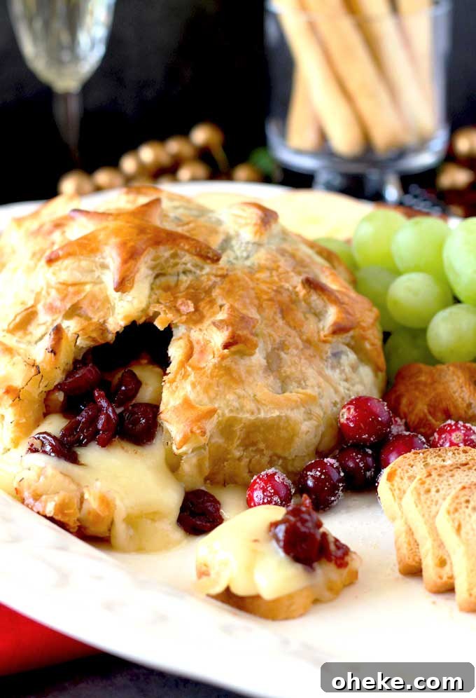 Baked Brie en Croûte with Cranberries and Puff Pastry 4 Cheese in pastry oozing warm gooey cheese, served with toast.