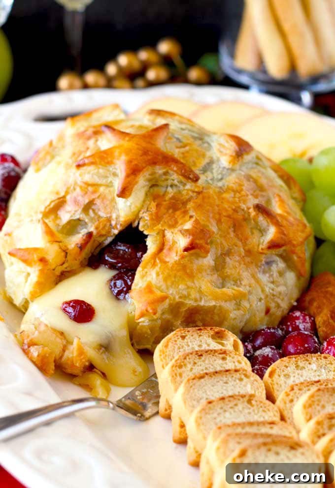 Baked Brie en Croûte with Cranberries and Puff Pastry 5 Baked Brie with Cranberries appetizer served on a white platter