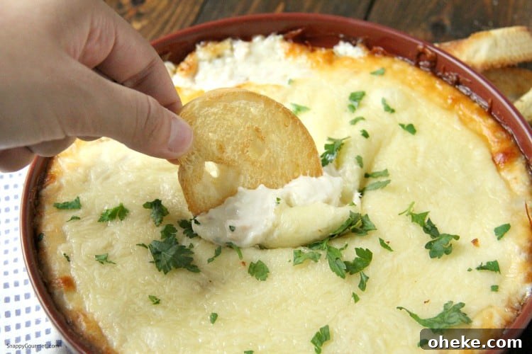 Homemade Chicken Alfredo Dip, easy hot baked dip with chicken, cheese, and homemade alfredo sauce cheesy Chicken Alfredo Dip with crostini