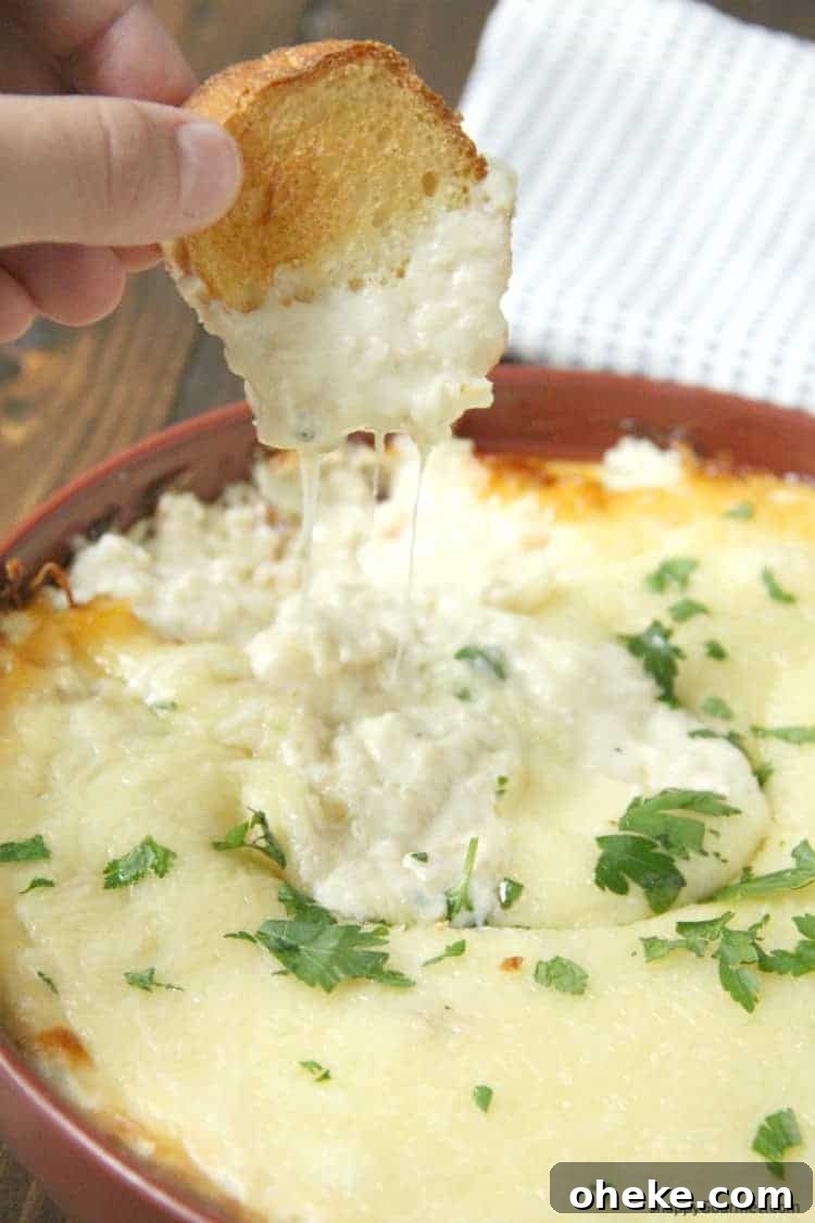 Chicken Alfredo Dip, easy hot baked dip with chicken, cheese, and homemade alfredo sauce cheesy Chicken Alfredo Dip in baking dish with crostini