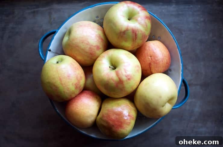 Pumpkin-Pie Spiced Applesauce Recipe for Fall Flavor 3 Apples for Pumpkin Pie Spiced Applesauce