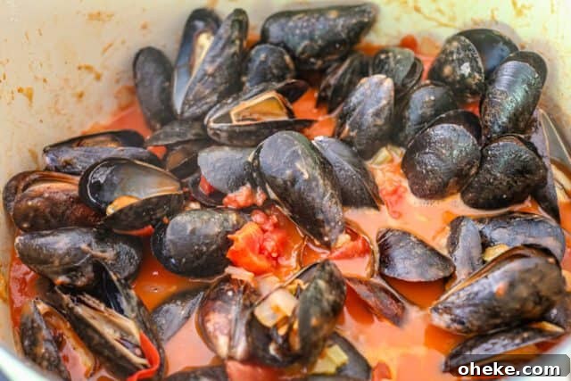 Making Creole style mussels and pasta with the mussels and sauce in a Dutch oven.