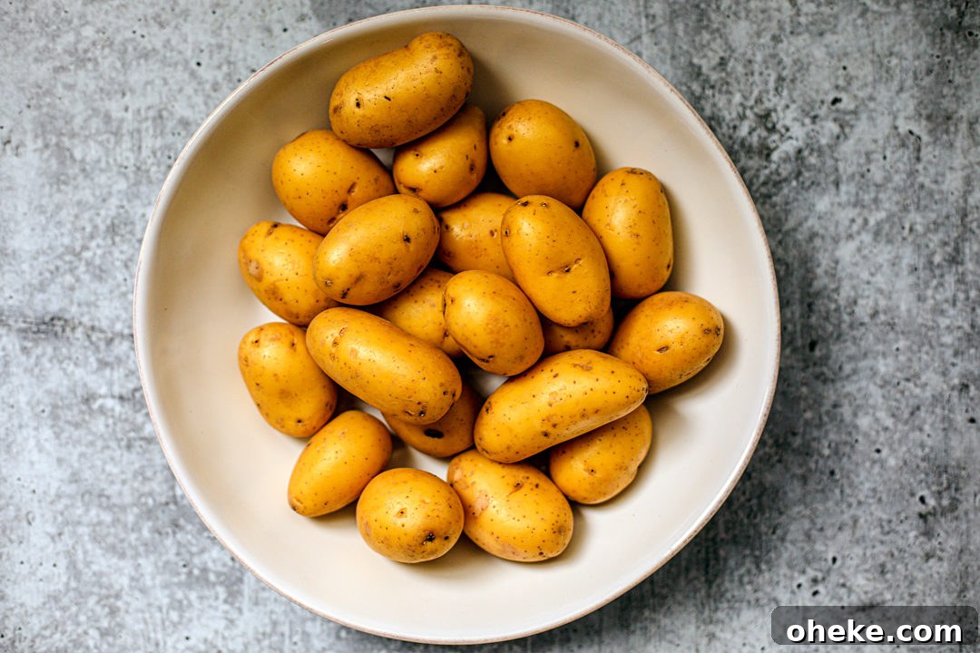 Small potatoes in a large white bowl.