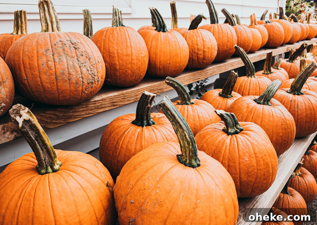 Pumpkins lined up on shelves.
