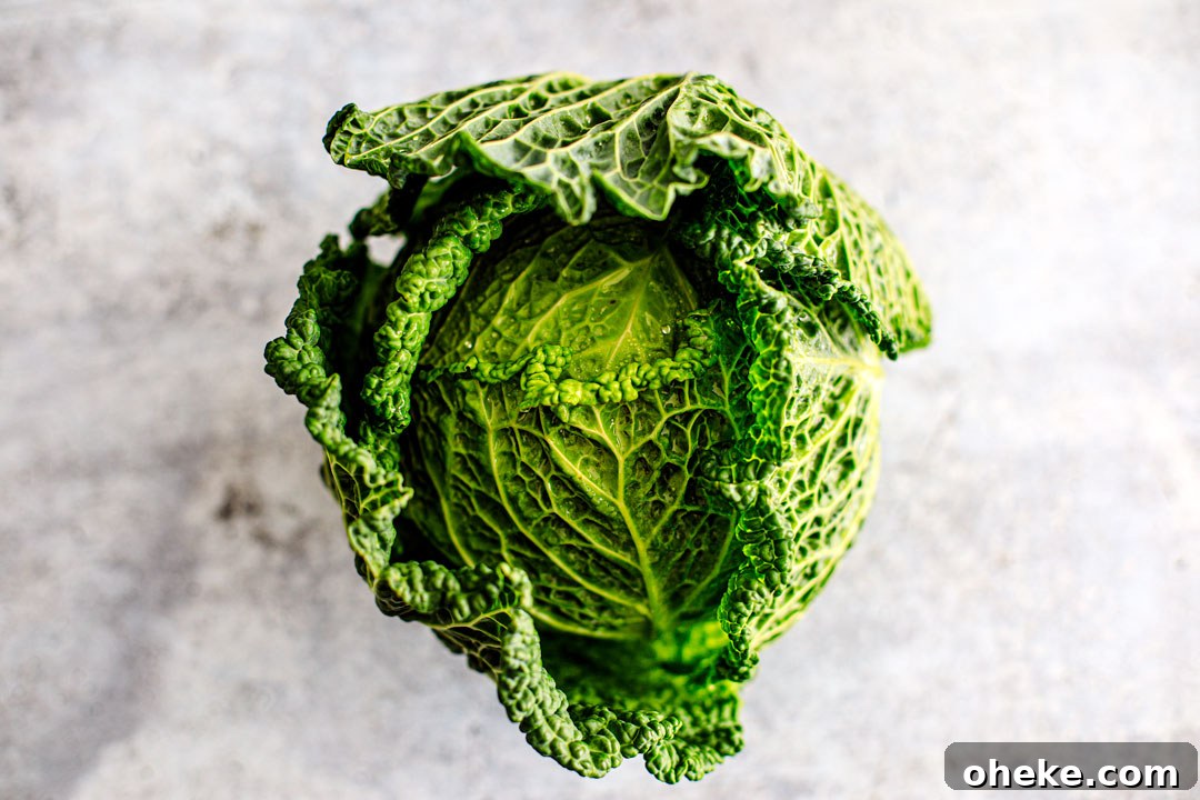 Head of savoy cabbage.