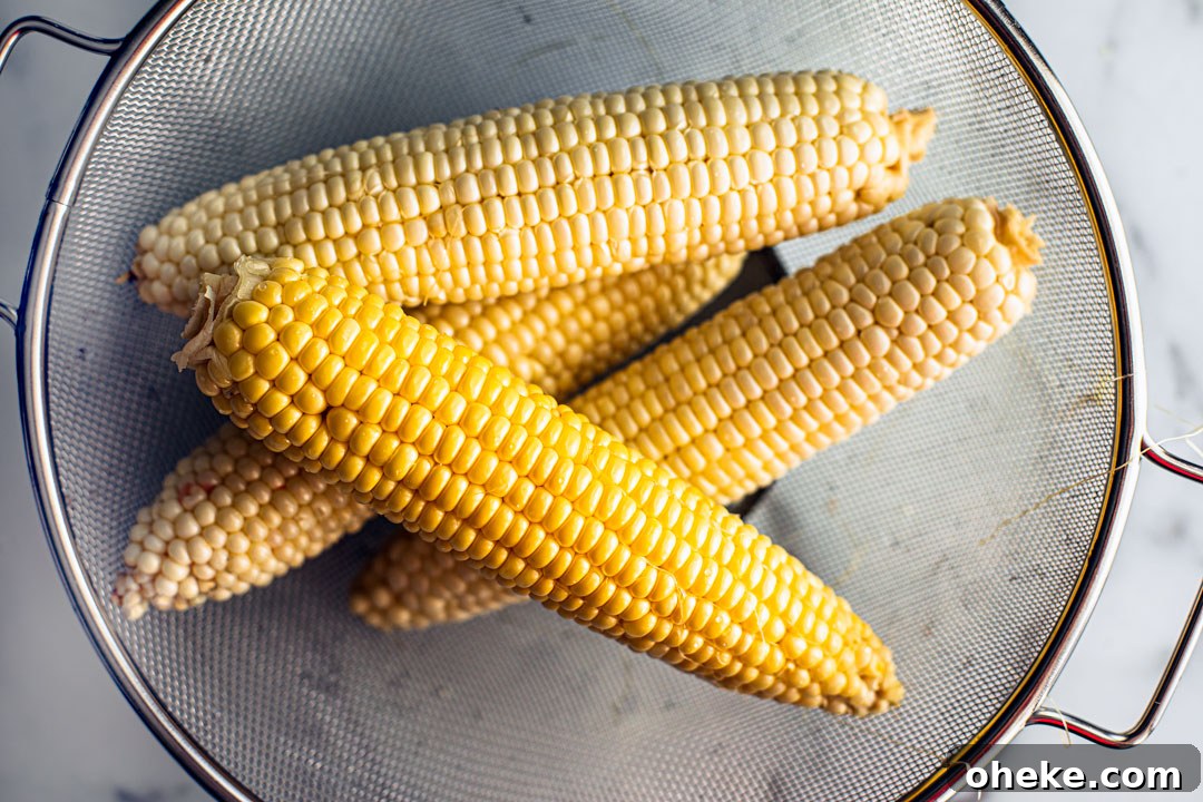 Fresh cobs of corn in a strainer.