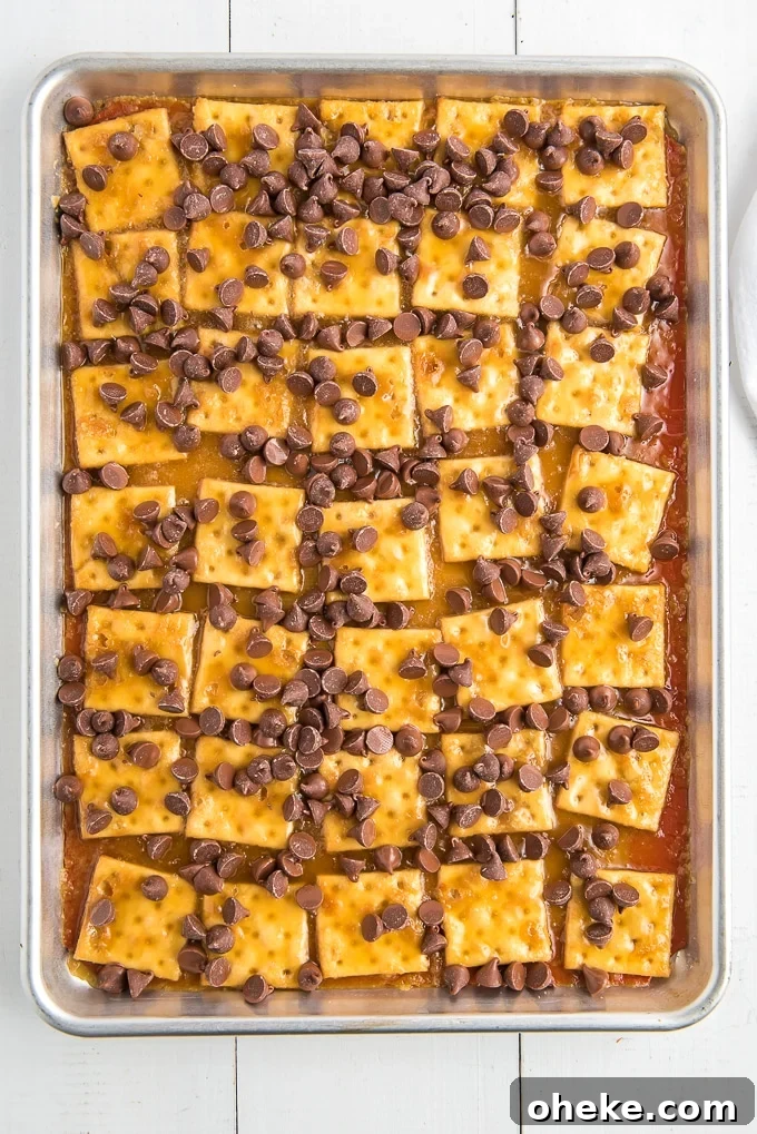 sprinkle of chocolate chips on top of saltine crackers