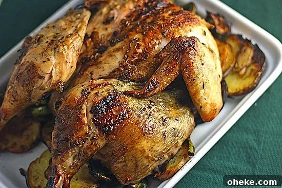 Grilled Whole Chicken Roast: Simple Steps for Juicy Results 5 roast-chicken-on-the-grill.jpg