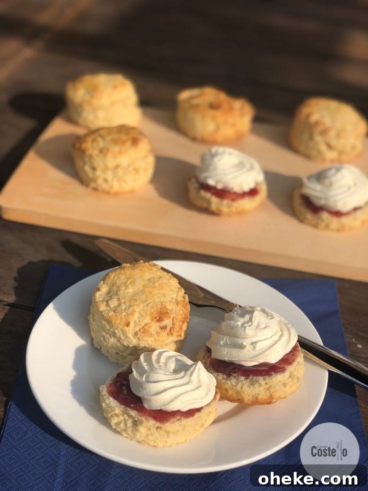 Classic Jam and Cream Scones — Egg-Free Baking Guide 3 Classic Scones Recipe with Jam and Cream. Baking without Eggs