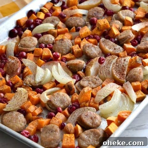 side view of cooked Close up of colorful uncooked Sheet Pan Cranberry Chicken Sausage