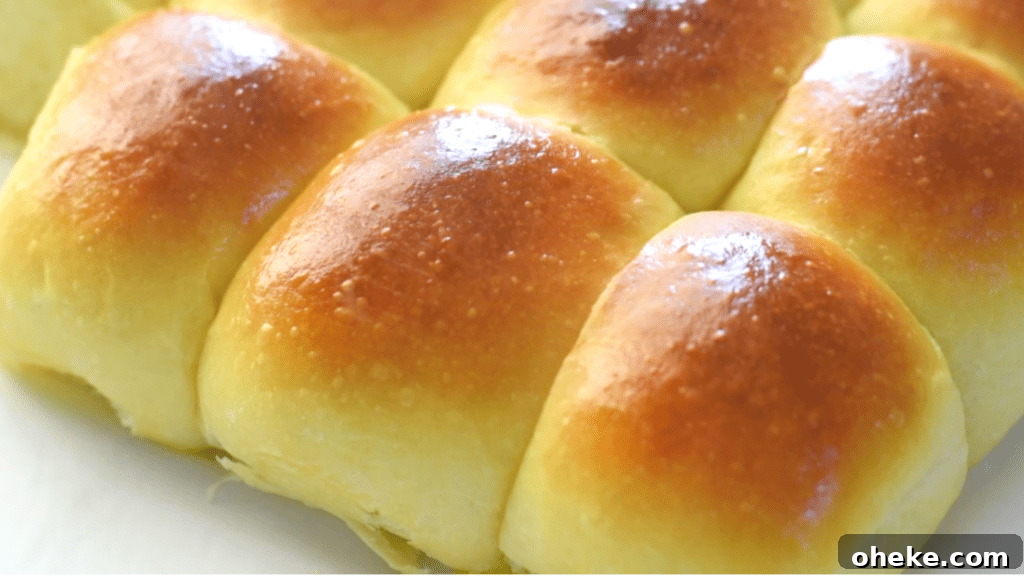 Quick Homemade Dinner Rolls Recipe: Soft, Fluffy & Fast 2 quick dinner rolls recipe