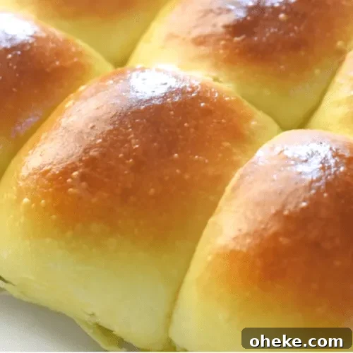 quick dinner rolls recipe