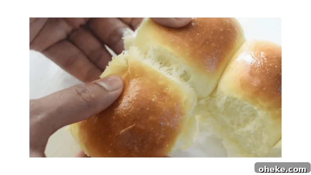 Quick Homemade Dinner Rolls Recipe: Soft, Fluffy & Fast 3 quick dinner rolls recipe