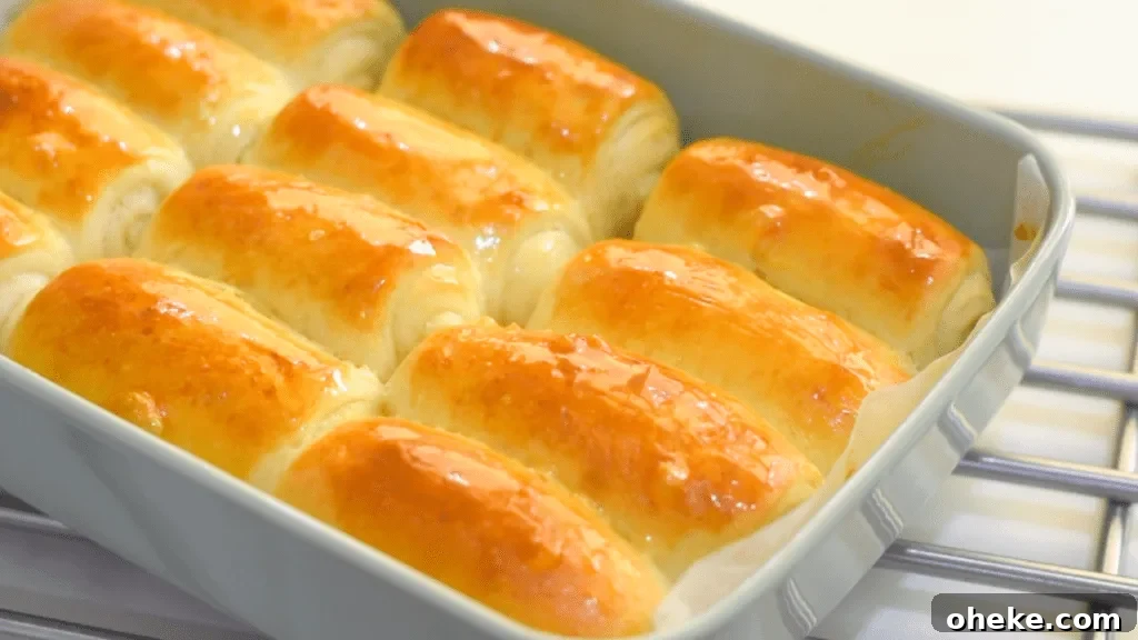 Quick Homemade Dinner Rolls Recipe: Soft, Fluffy & Fast 5 dinner rolls