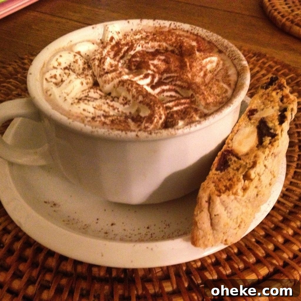 Bonfire Foods: Delicious Campfire Recipes and Grilling Ideas 5 Rum and spice hot chocolate