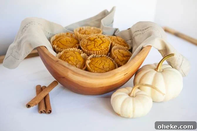 Delicious WW pumpkin muffins 2 ingredient
