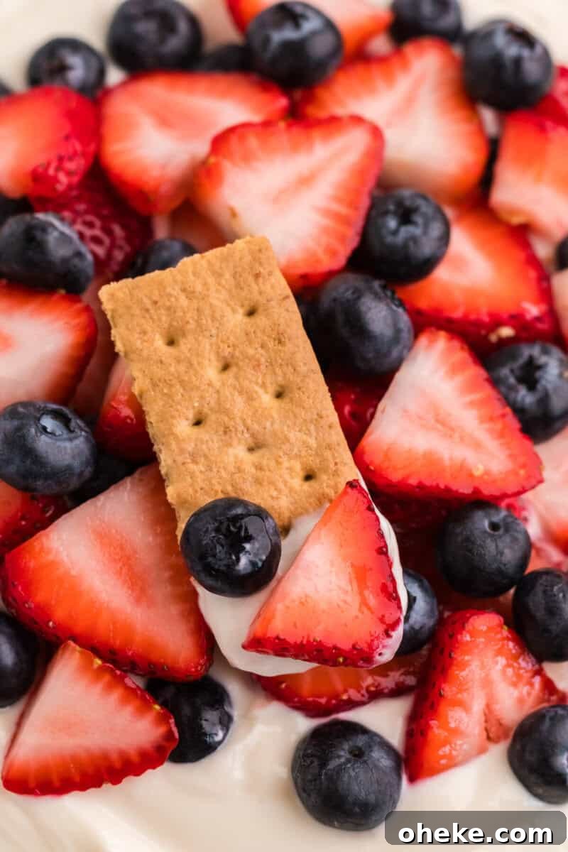 closeup of using a graham cracker to eat the dip.