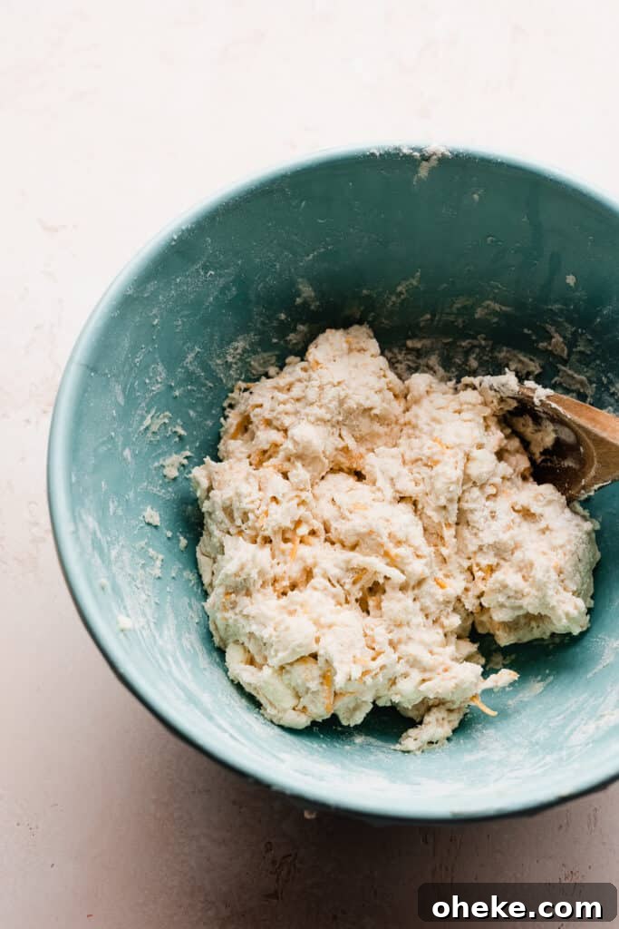 A bowl of a slightly wet, shaggy dough.