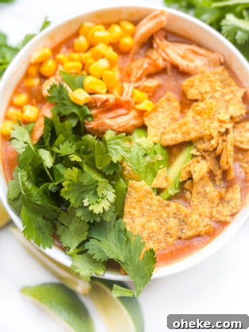 Bowl of chicken tortilla soup