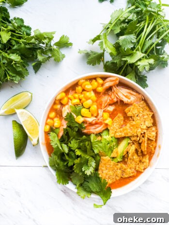 Garnished chicken tortilla soup