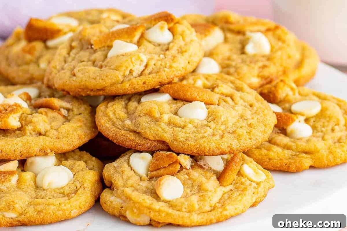 A plate of banana pudding cookies with Nilla wafers and white chocolate chips.