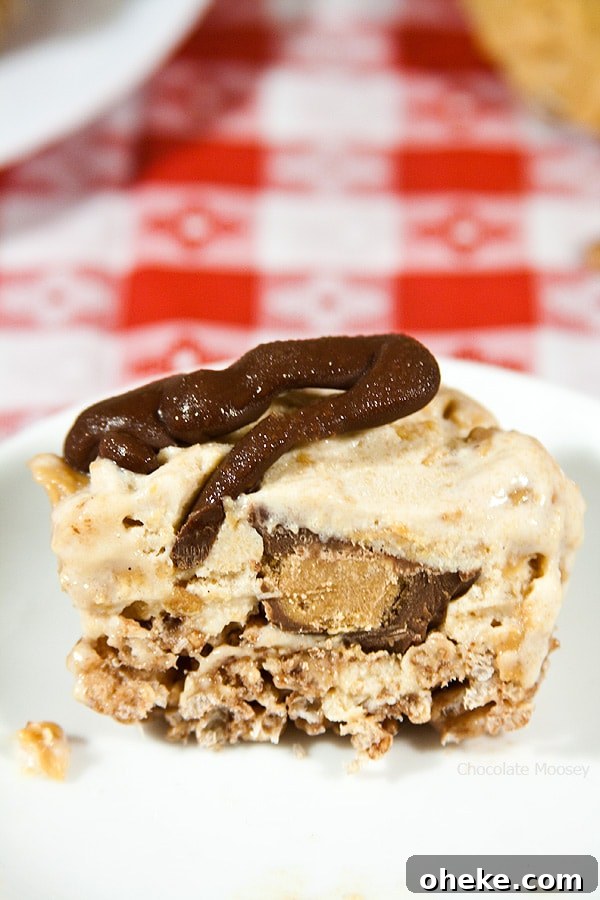 Peanut Butter Rice Krispie Ice Cream Cupcakes Recipe 4 When it's too hot outside, cool down with these Peanut Butter Rice Krispie Ice Cream Cupcakes. Plenty of chocolate and peanut butter in every bite!