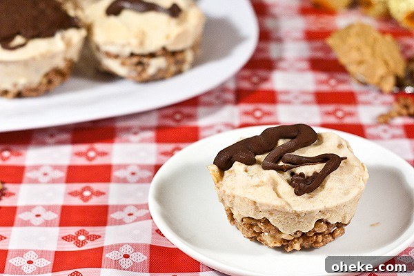 Peanut Butter Rice Krispie Ice Cream Cupcakes Recipe 5 When it's too hot outside, cool down with these Peanut Butter Rice Krispie Ice Cream Cupcakes. Plenty of chocolate and peanut butter in every bite!