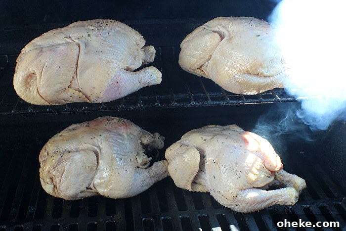 Cold-Smoked Cornish Game Hens: Flavorful Chilled Prep Guide 6 Cornish Game Hens In Gas Grill With Smoke From Cold Smoke Generator
