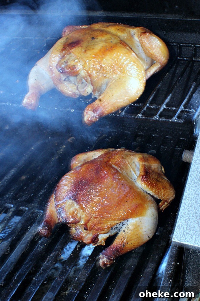 Cold-Smoked Cornish Game Hens: Flavorful Chilled Prep Guide 7 Cold Smoke Cornish Game Hens Smoking On gas grill from cold smoke generator