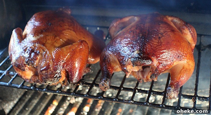 Cold-Smoked Cornish Game Hens: Flavorful Chilled Prep Guide 8 Cornish Game Hens On Top Rack of Gas Grill Smoked By Cold Smoke Generator