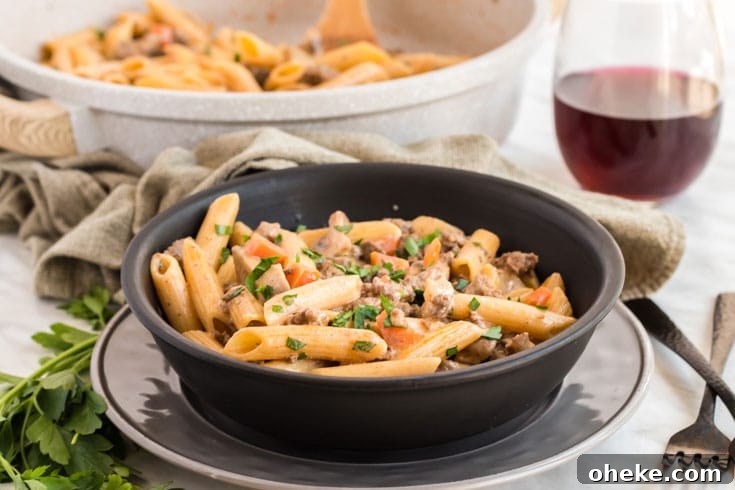 Bowl of healthier hamburger stroganoff with glass of red wine.