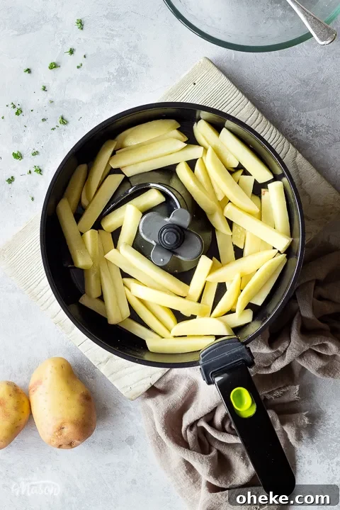 Air Fryer Buying Guide: What to Know Before You Buy 7 Uncooked chips coated in olive oil and sea salt in an air fryer pan