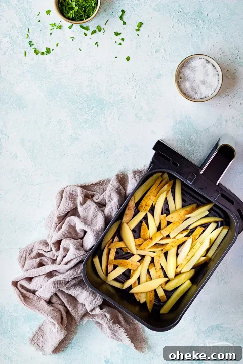 Air Fryer Buying Guide: What to Know Before You Buy 10 Cut soaked and dried fries in an air fryer basket