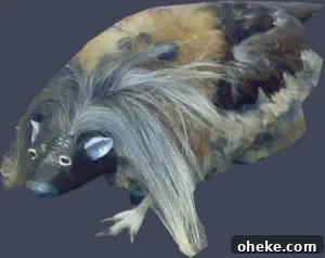 Wild Haggis Scoticus
