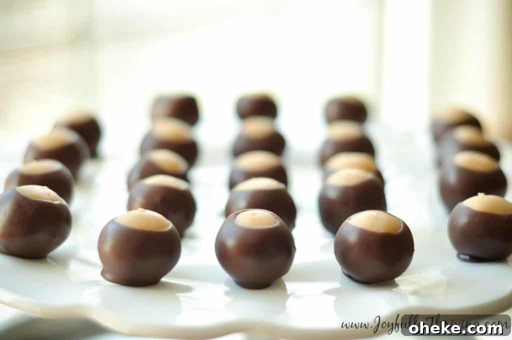 30+ Holiday Desserts from Around the World: Recipes to Try 14 Classic Buckeyes