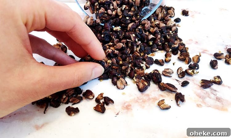 hand digging into a pile of crunchy roasted black beans